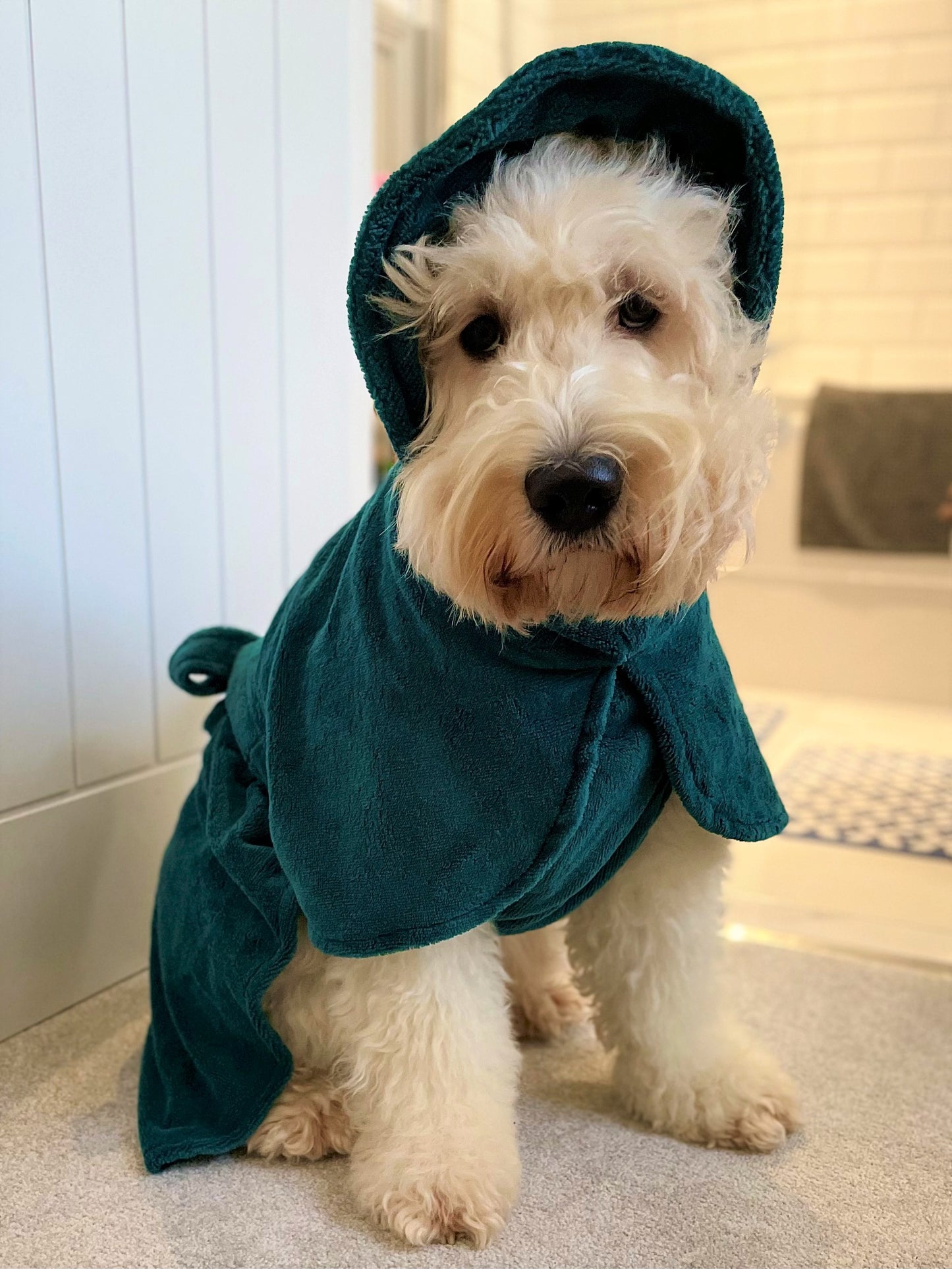 Bamboo Dog Drying Robe