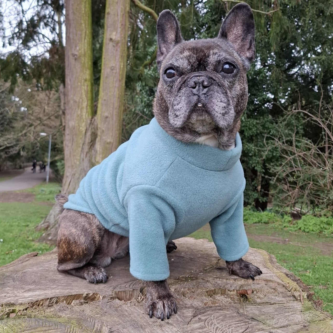French Bulldog & Pug 2 Leg Fleece Suit