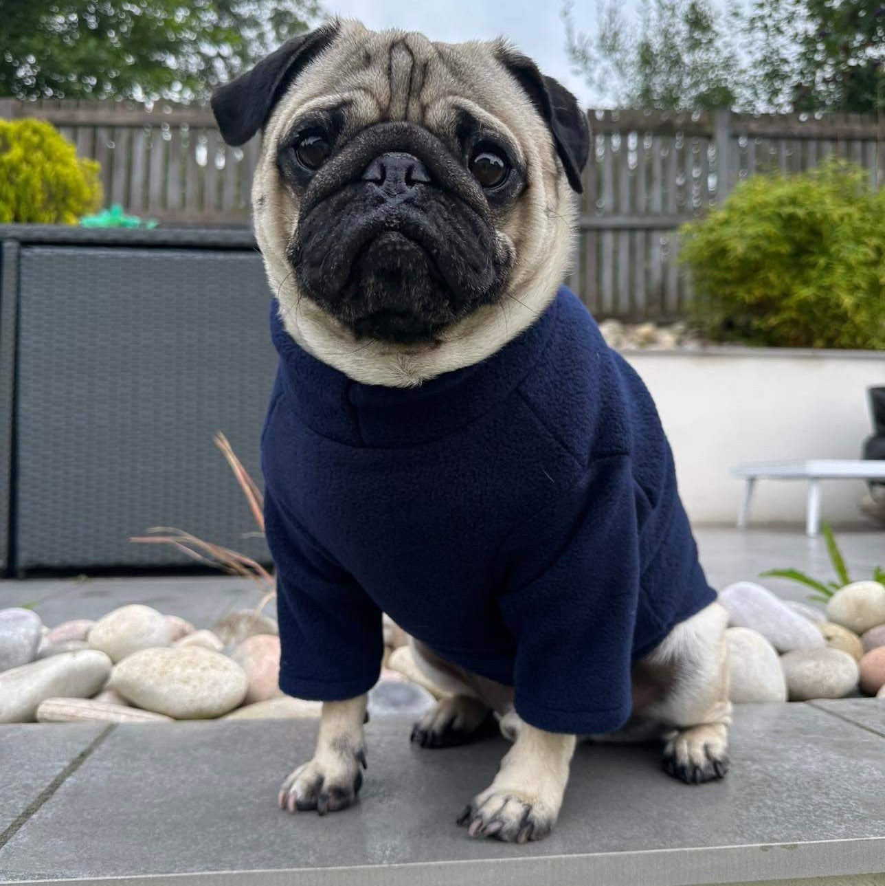 French Bulldog & Pug 2 Leg Fleece Suit