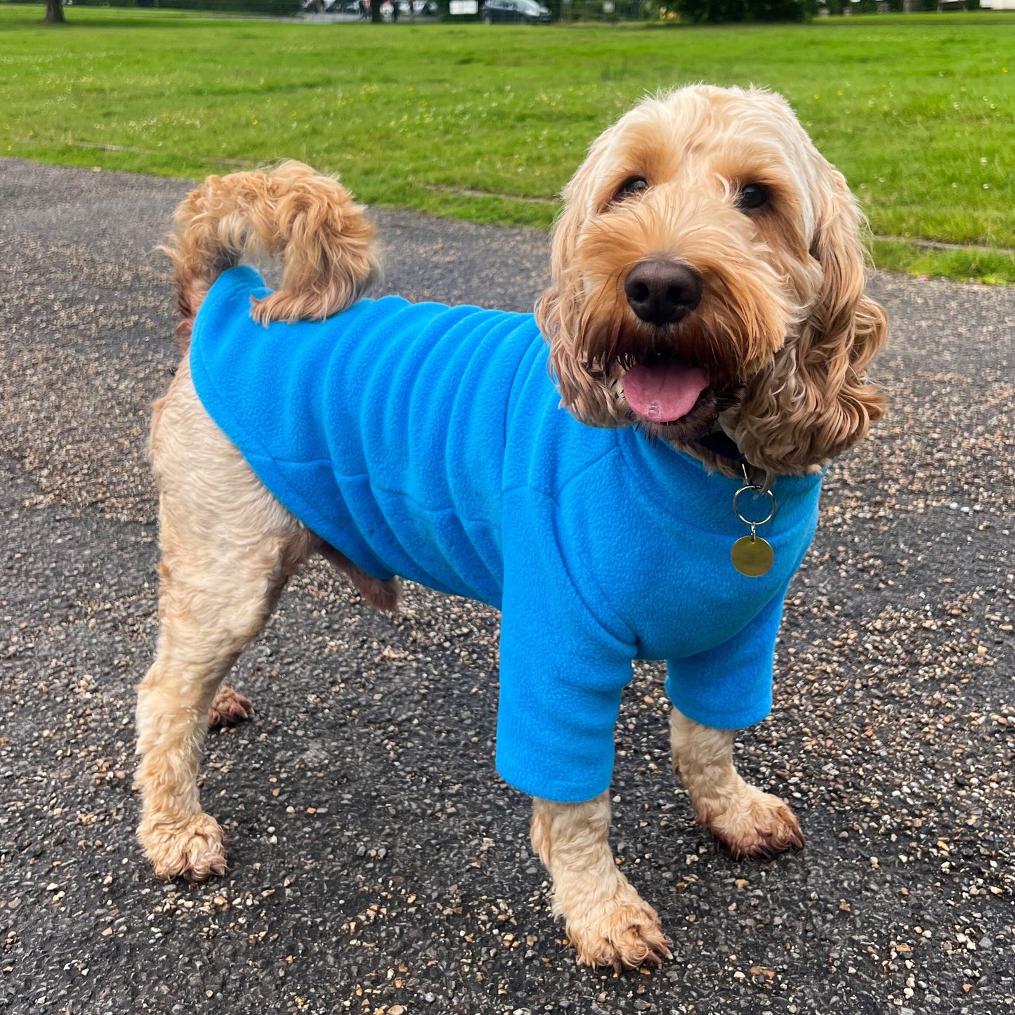 2 Leg Dog Jumper in Polar Fleece - (SALE COLOURS)