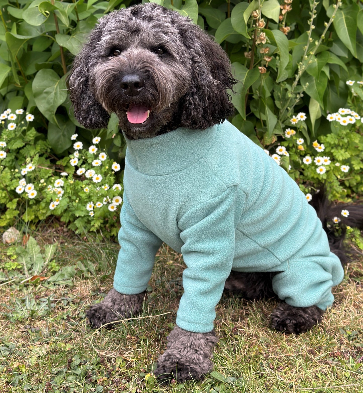 4 Leg Fleece Dog Suit