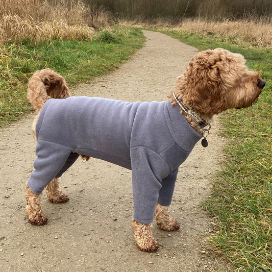 4 Leg Dog Suit in Polar Fleece (SALE COLOURS)