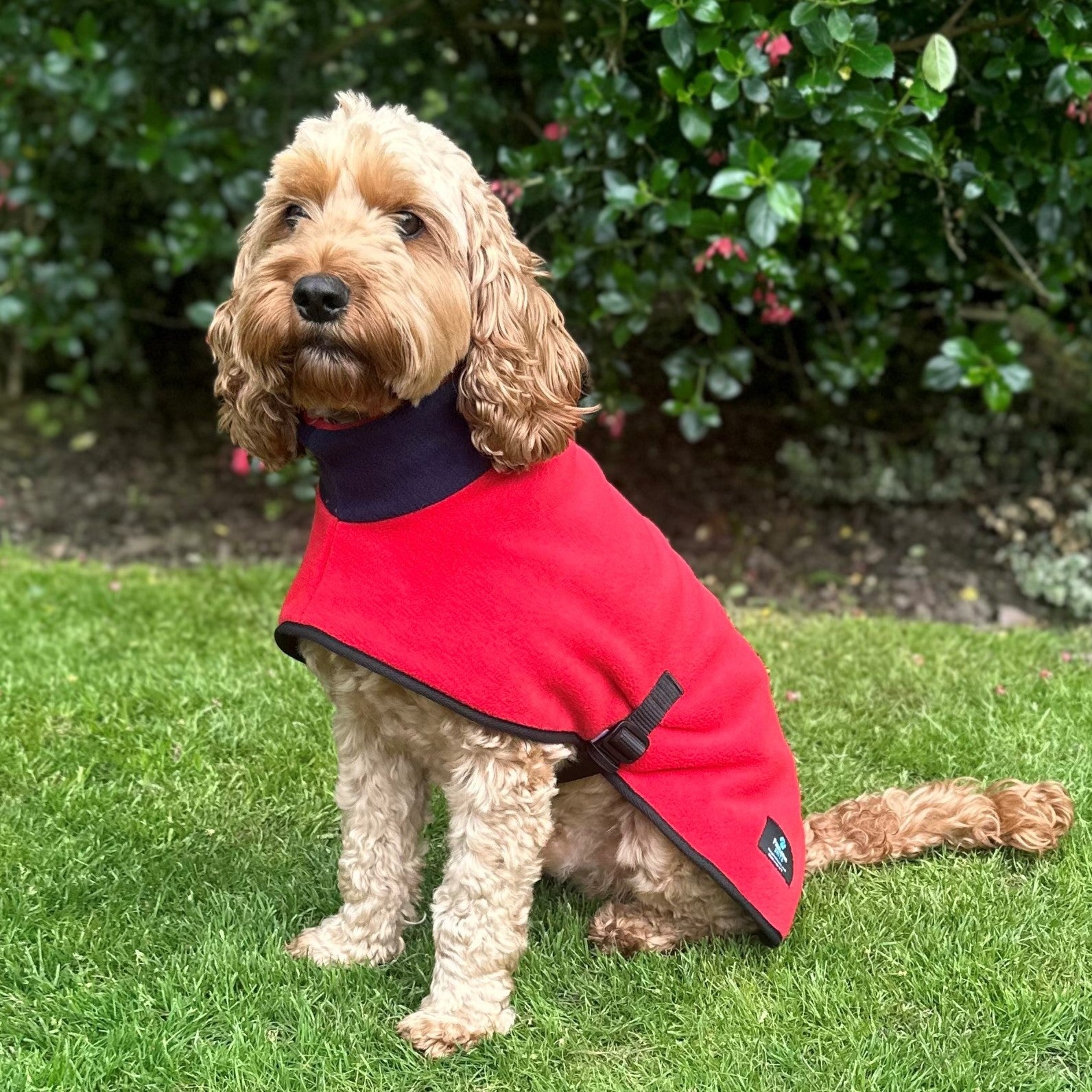 Reversible Fleece Dog Coat - Red/Navy