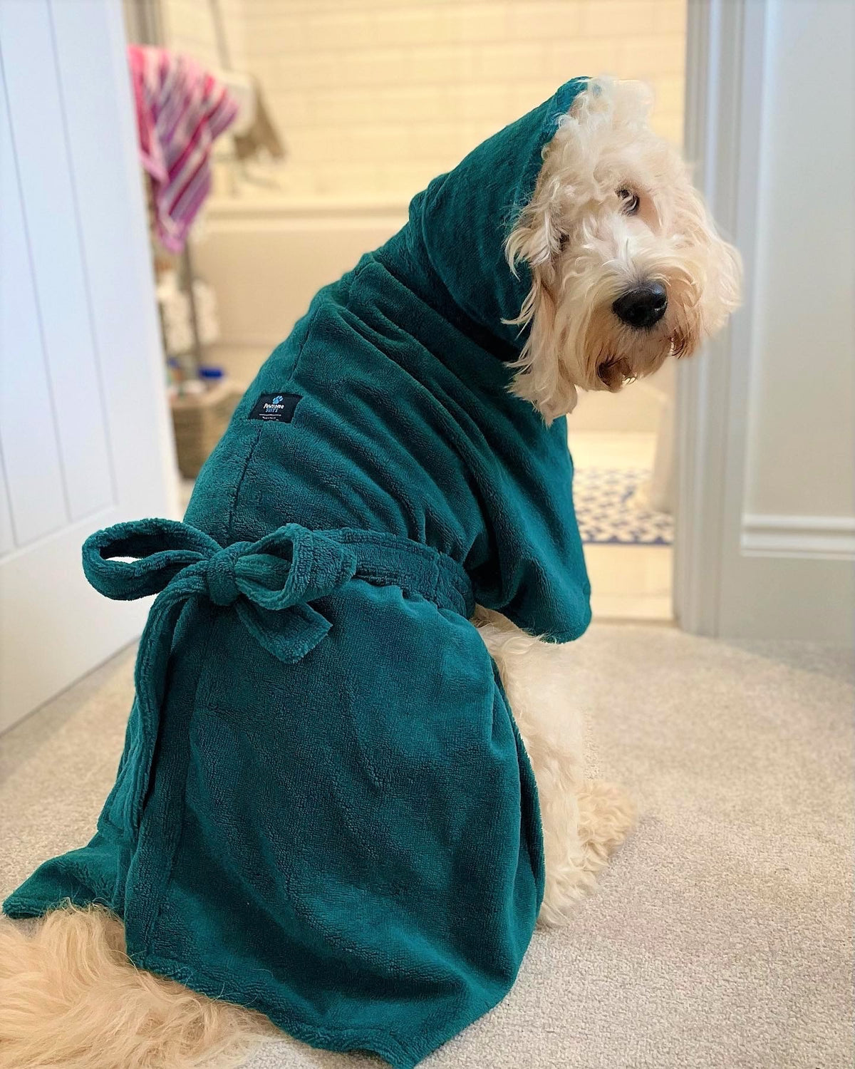 Dog Robe Toy Bamboo Dog Drying Robe – Pawsome Suits