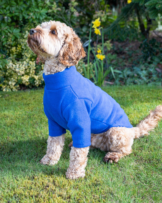 2 Leg Dog Jumper in Polar Fleece - (SALE COLOURS)