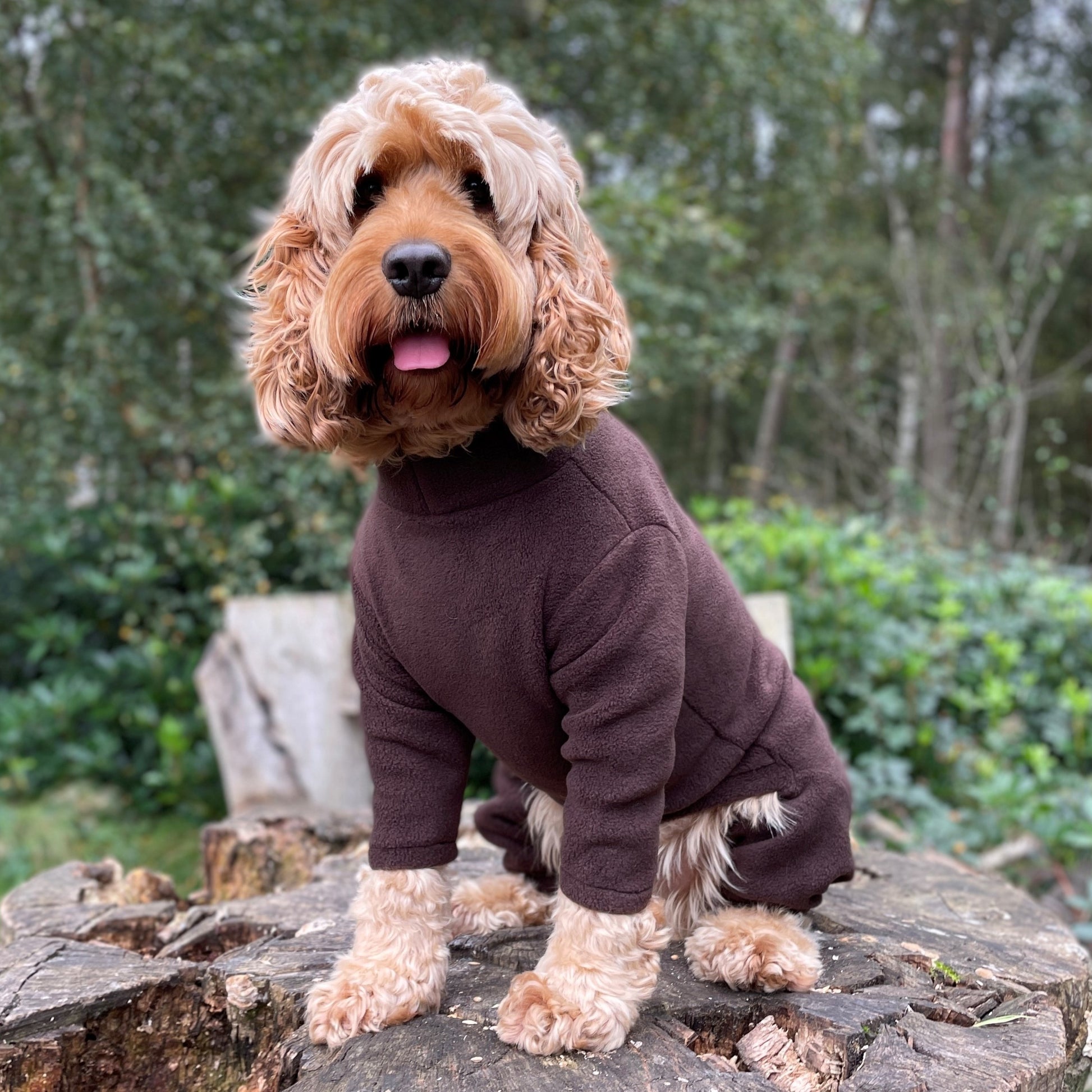 4 Leg Fleece Dog Suit 