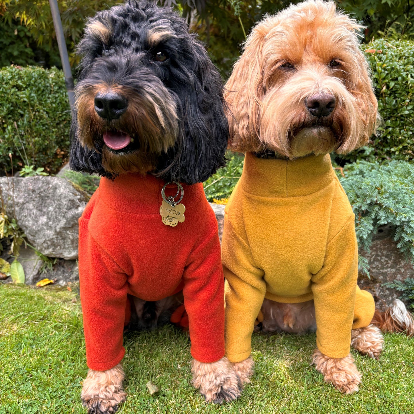 LIMITED EDITION COLOURS - 4 Leg Fleece Dog Suit