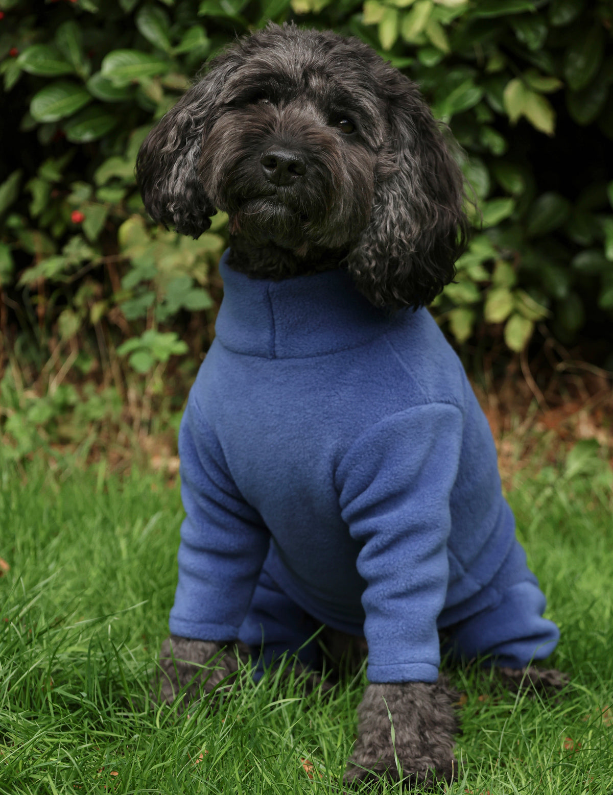 4 Leg Fleece Dog Suit