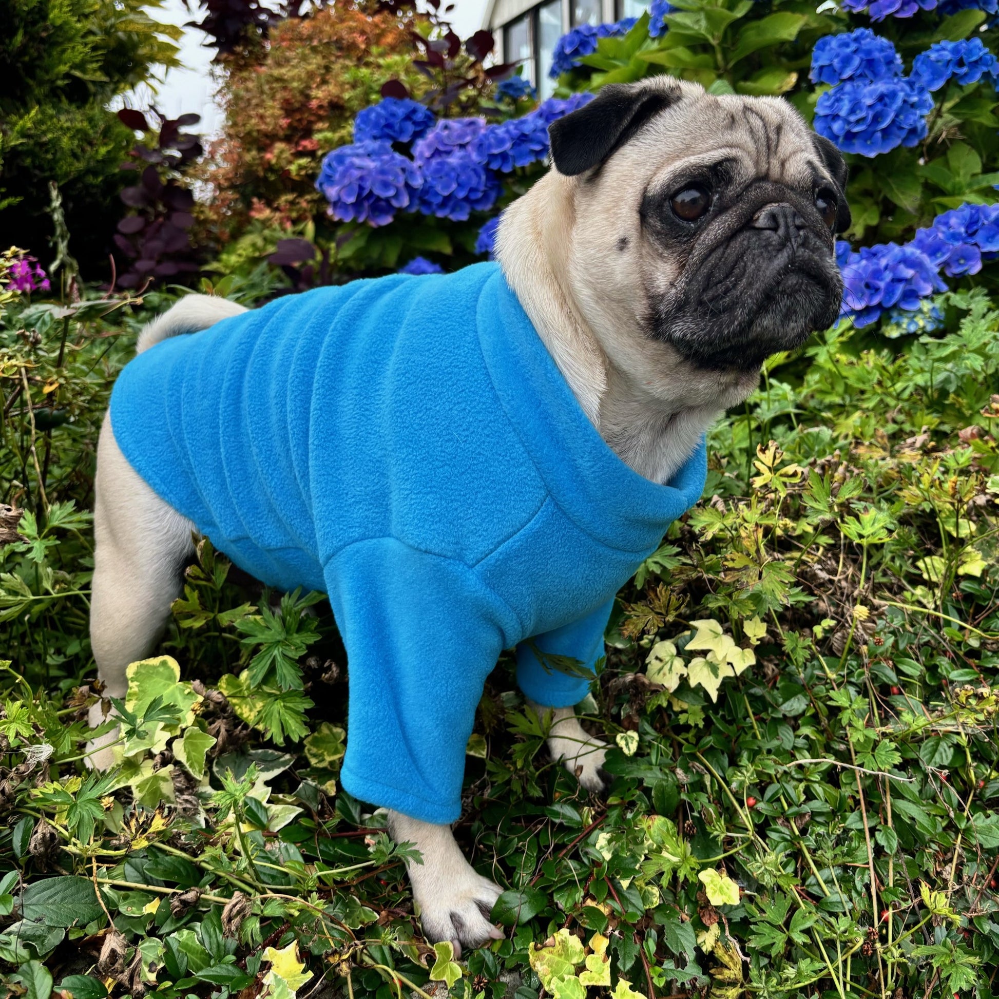 French Bulldog / Pug 2 Leg Fleece Suit (SALE COLOURS)