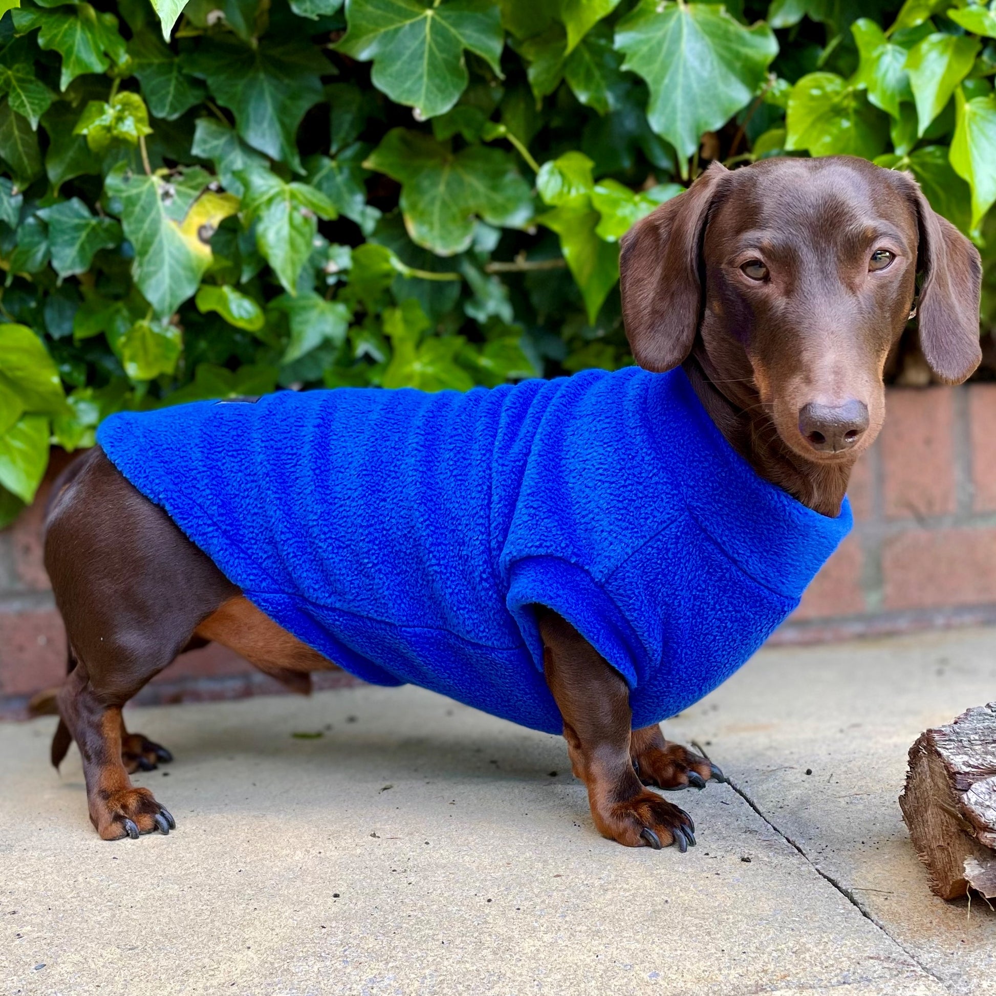 Dachshund Jumper in Polar Fleece (SALE COLOURS)