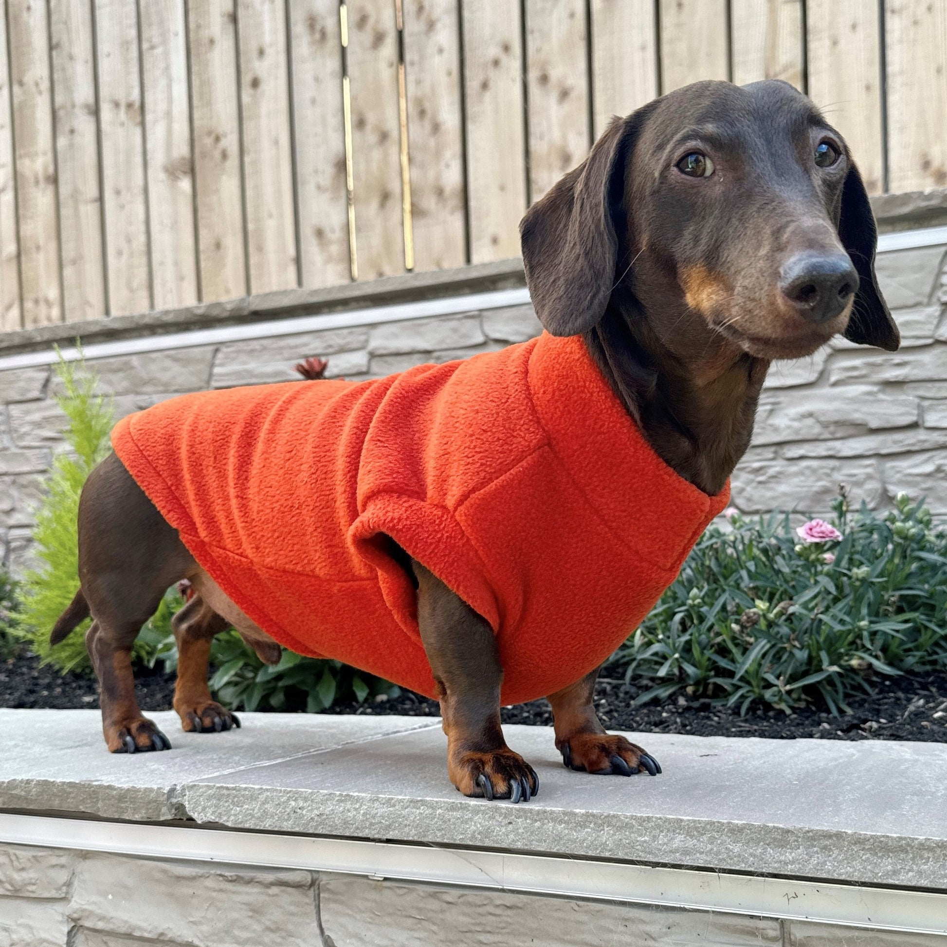 Fleece Jumper Christmas Sausage Dog Jumper Next Sausage Dog Jumper