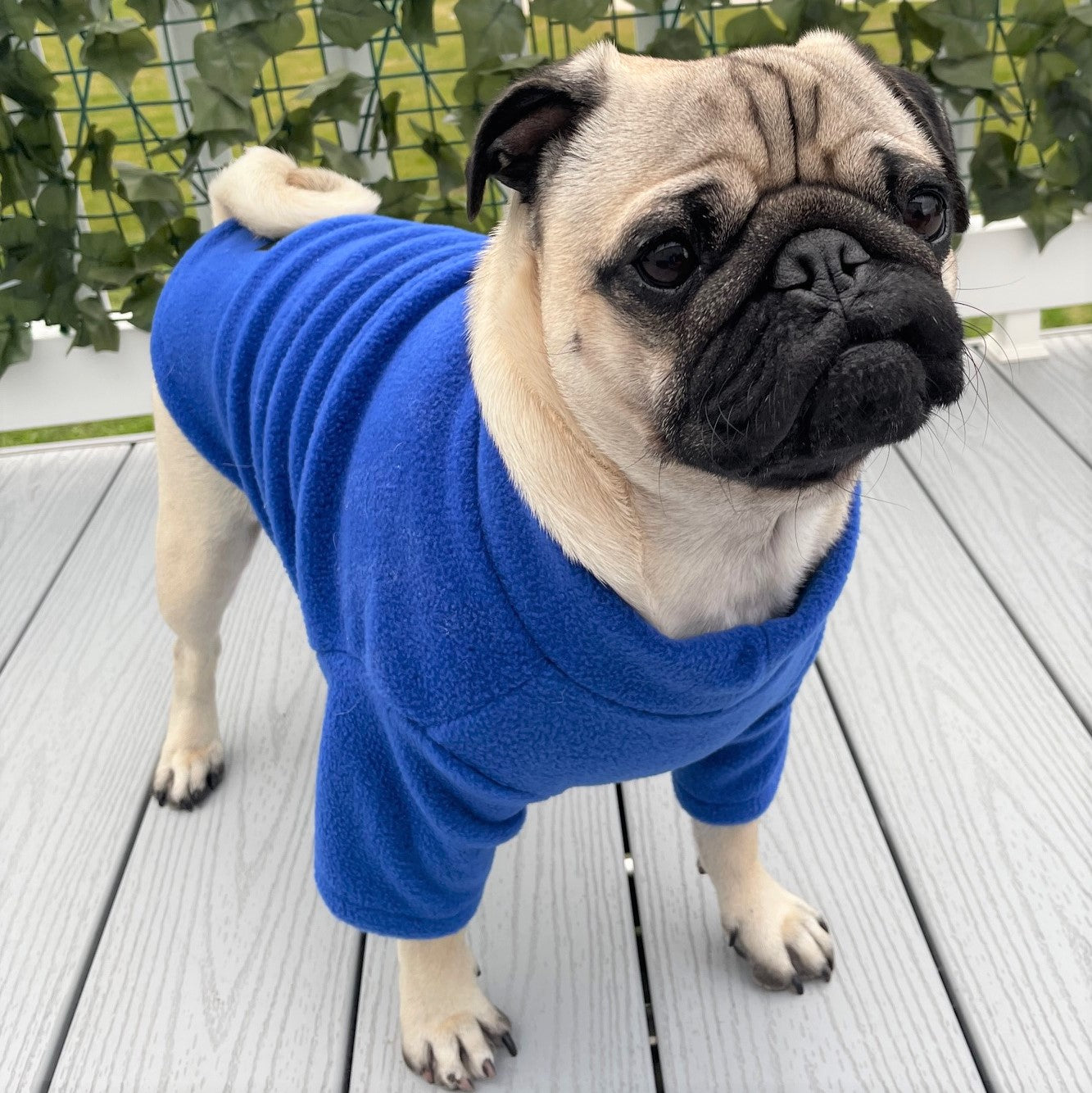 French Bulldog / Pug 2 Leg Fleece Suit (SALE COLOURS)