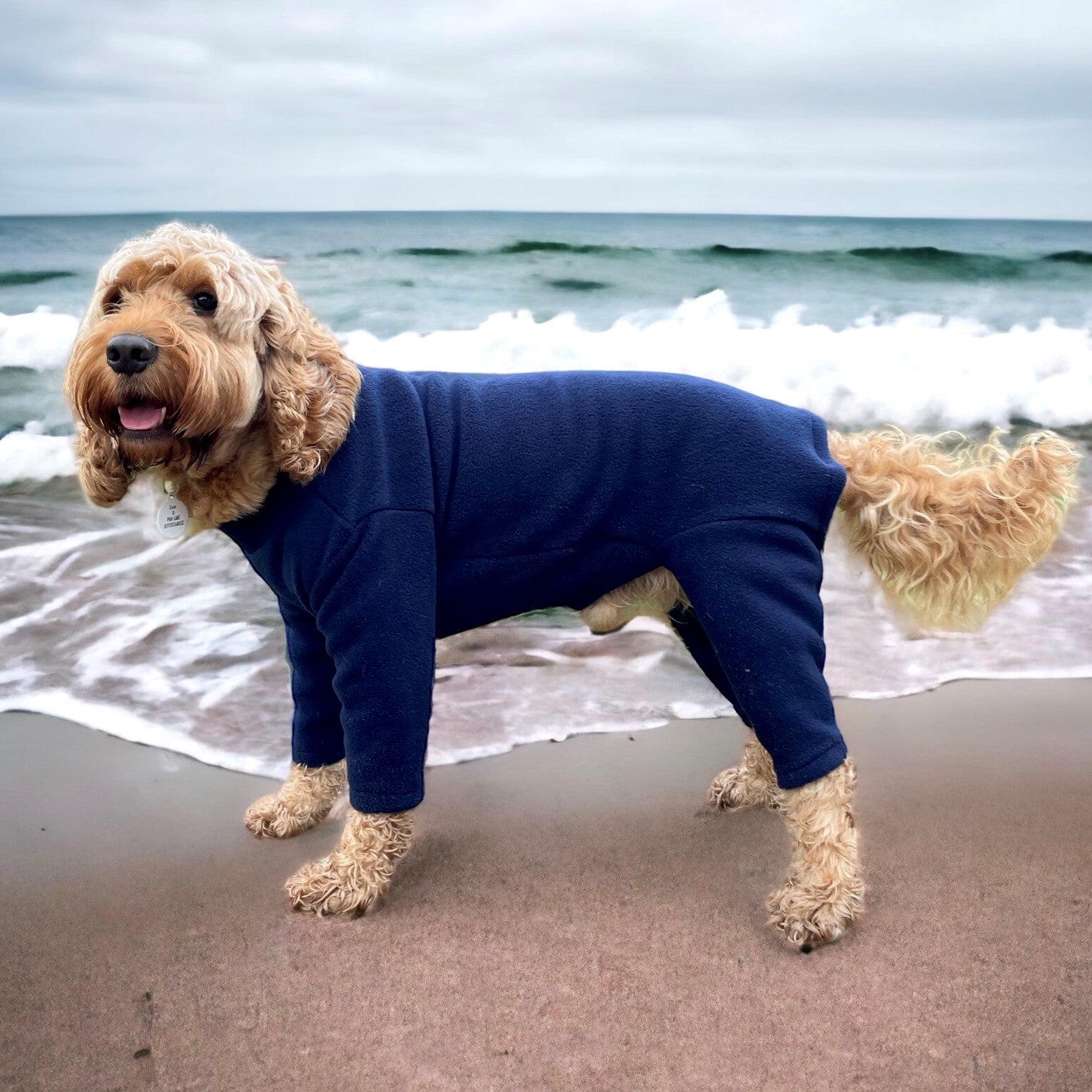 4 Leg Fleece Dog Suit Pawsome Suits
