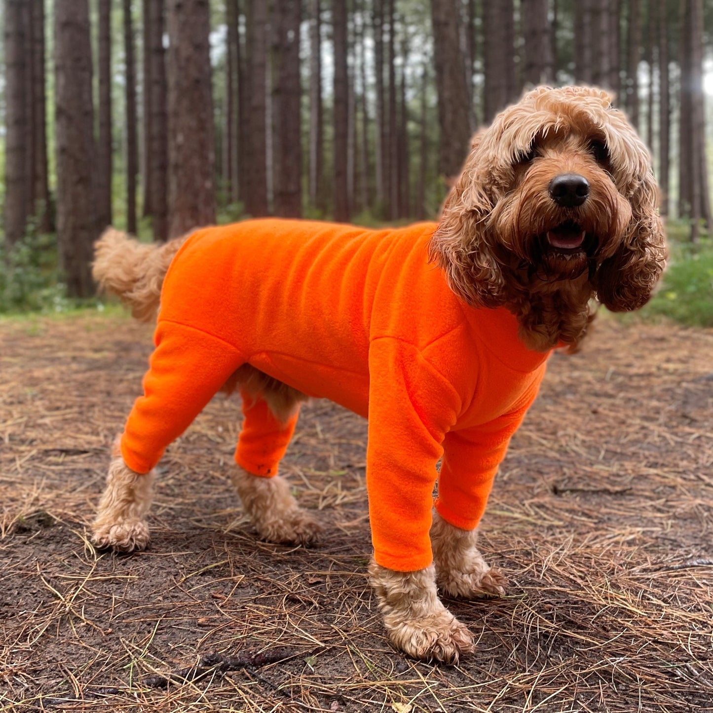 4 Leg Fleece Dog Suit 