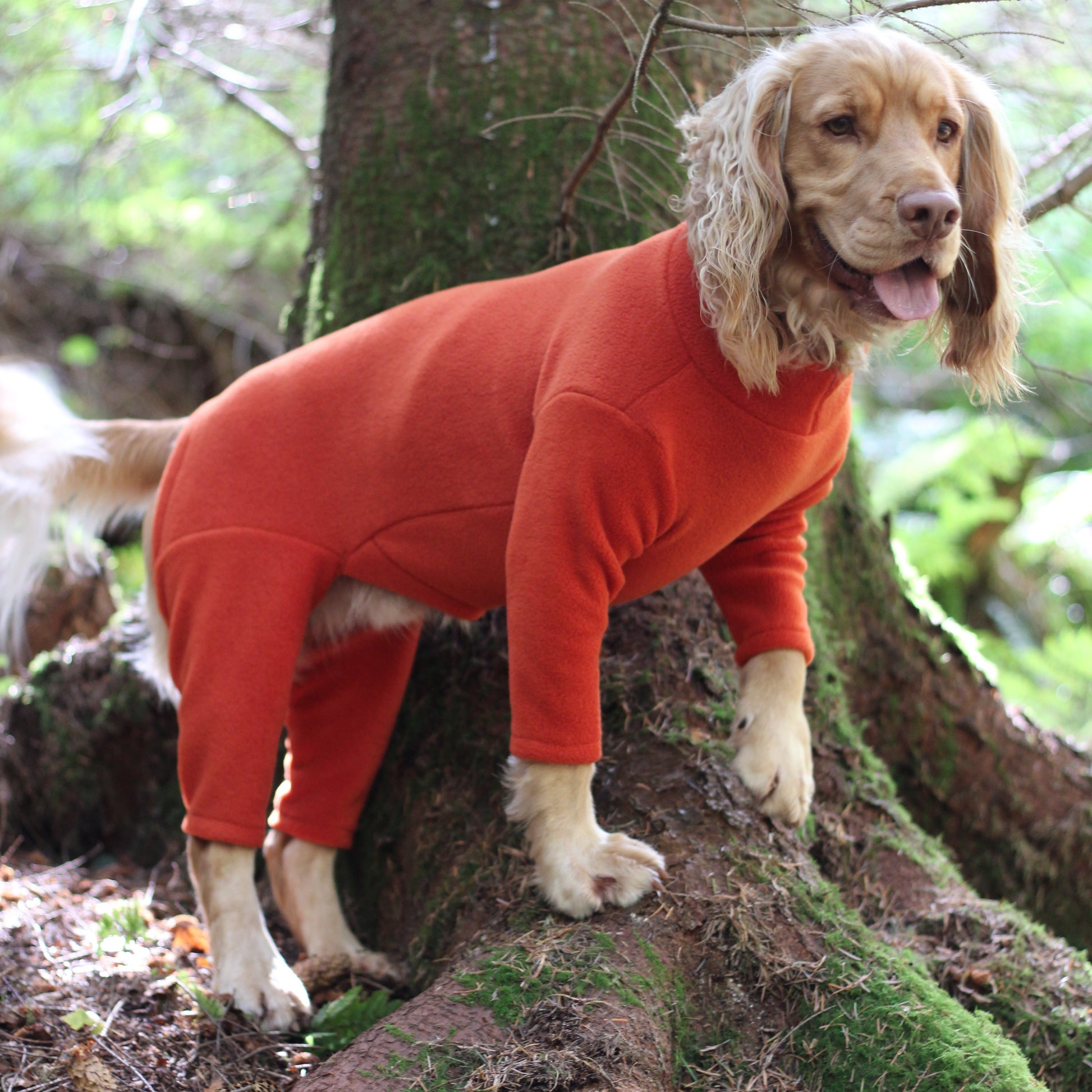 LIMITED EDITION COLOURS - 4 Leg Fleece Dog Suit