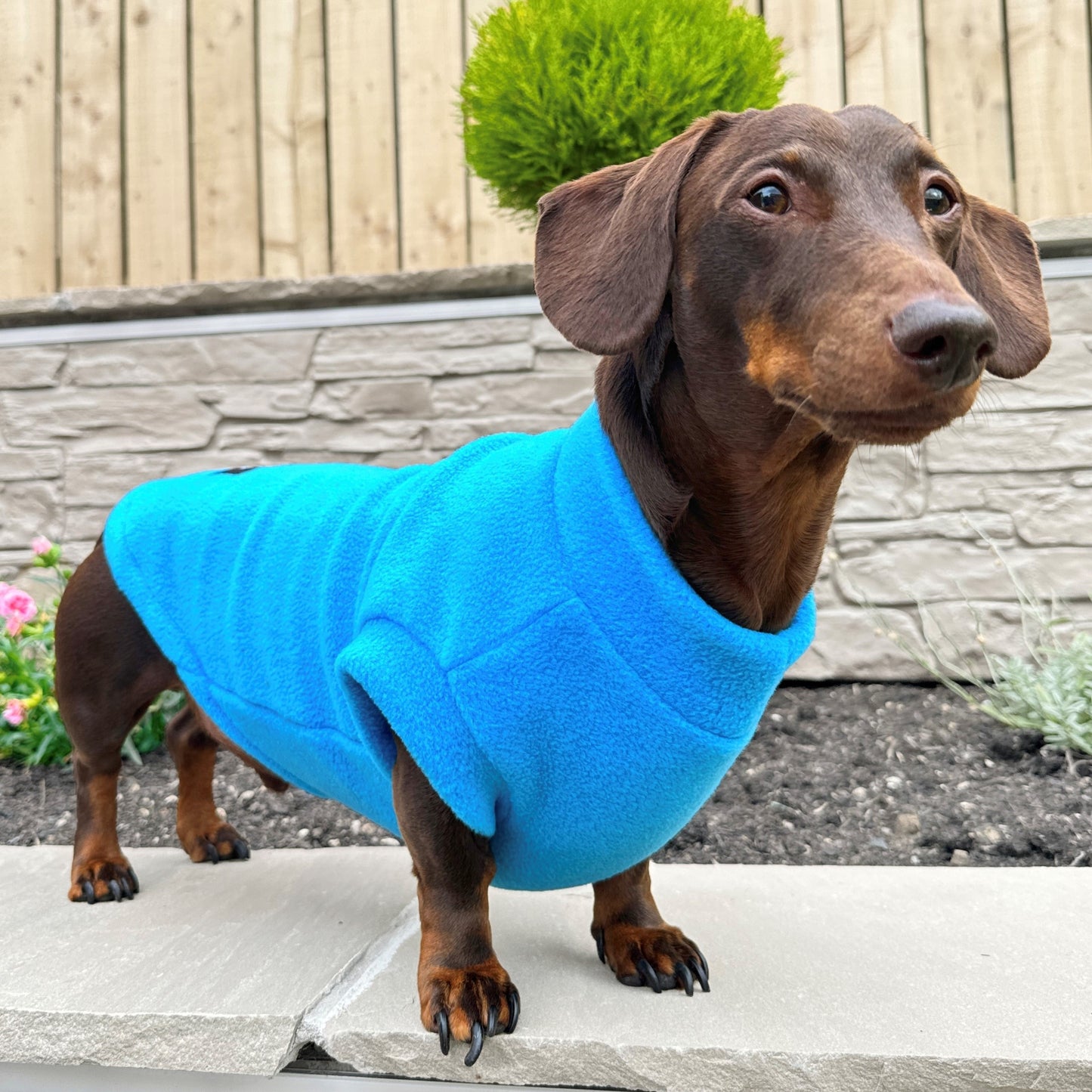 Dachshund Jumper in Polar Fleece (SALE COLOURS)