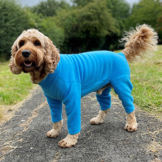 4 Leg Dog Suit in Polar Fleece (SALE COLOURS)