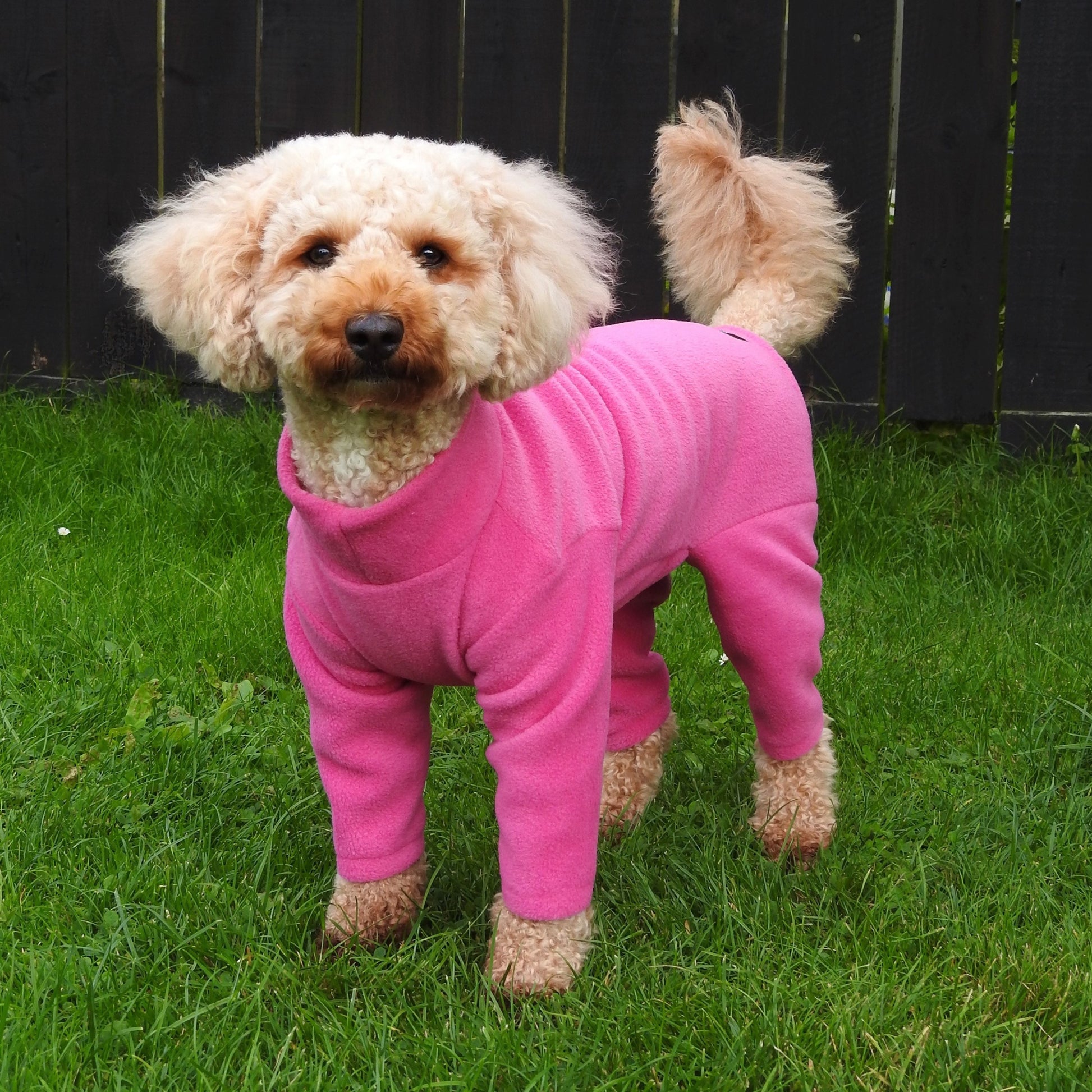 4 Leg Fleece Dog Suit 