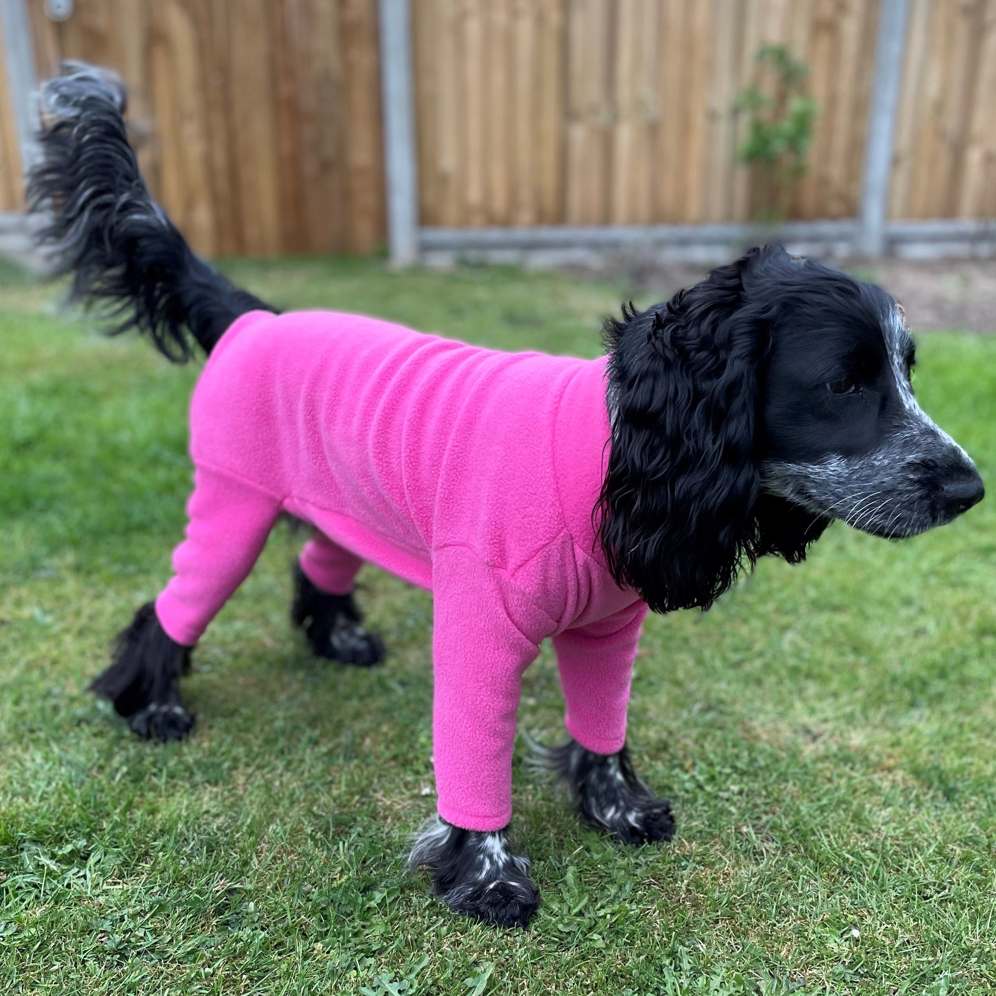 4 Leg Fleece Dog Suit 