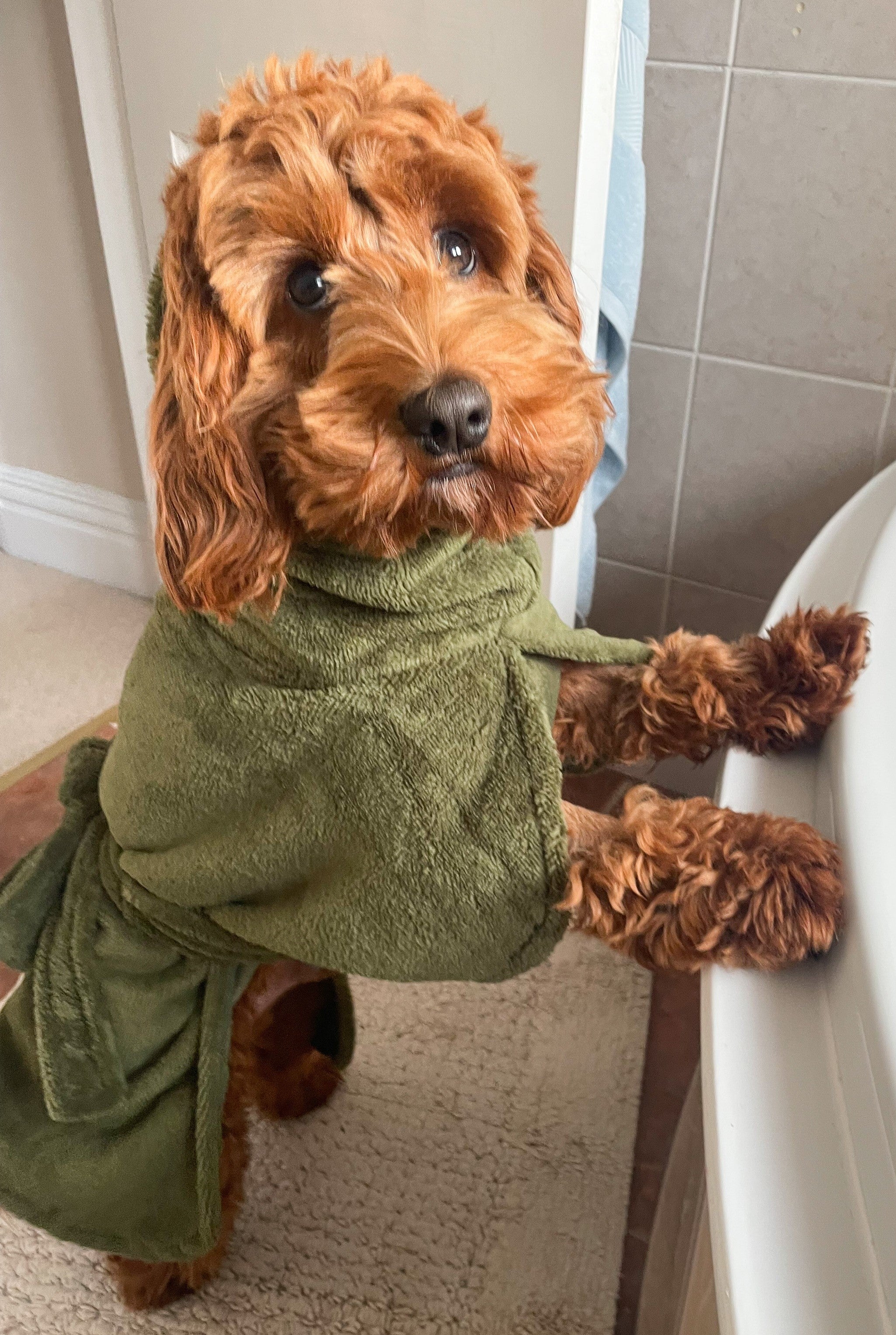 Dog Sith Robe Dog Drying Robes – Pawsome Suits