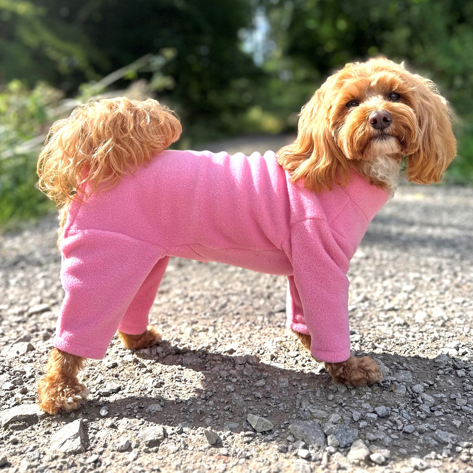 4 Leg Dog Suit in Polar Fleece (SALE COLOURS)