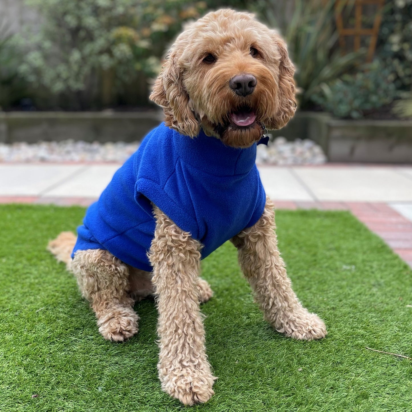 Dog Tankie in Polar Fleece (SALE COLOURS)