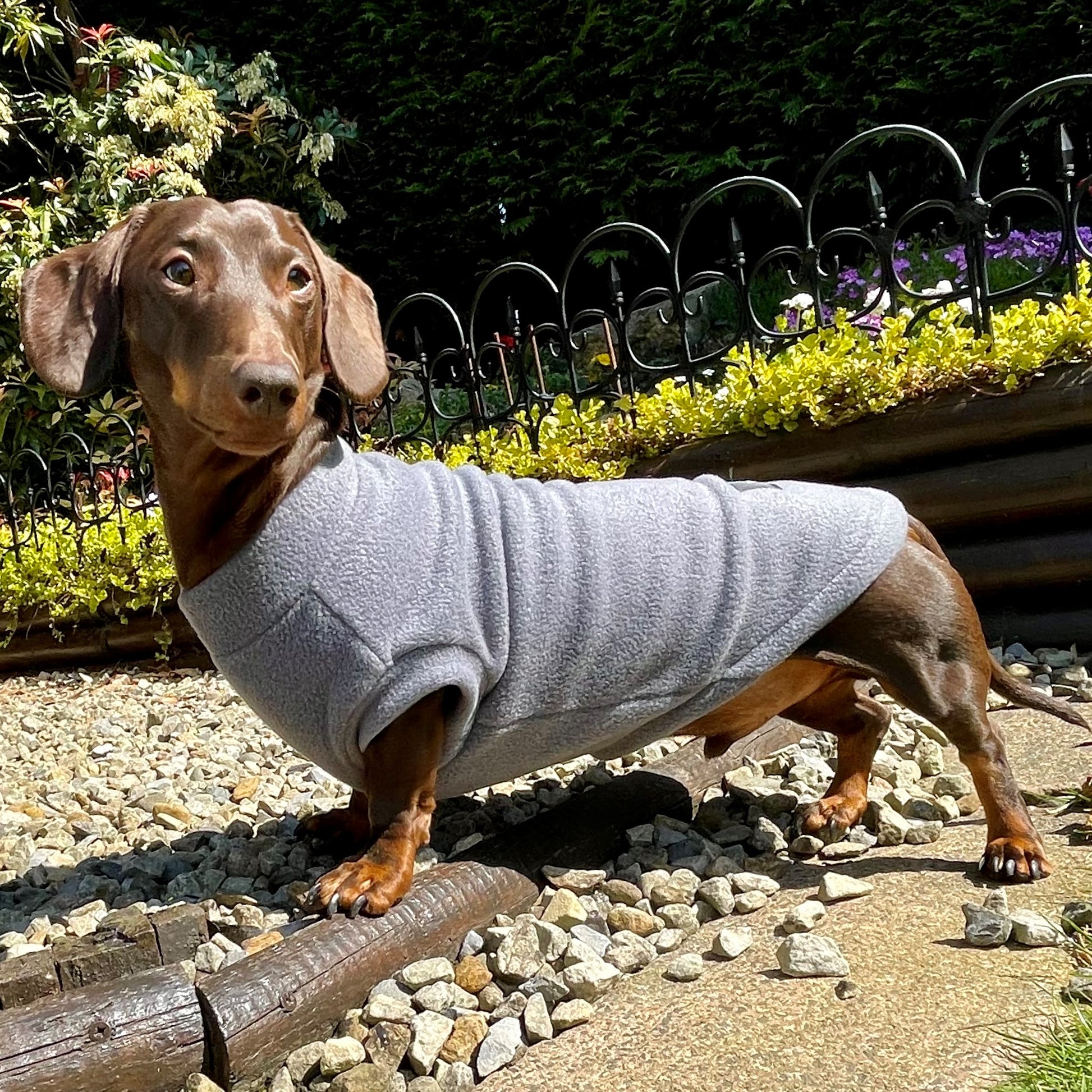 Dachshund Jumper in Polar Fleece (SALE COLOURS)