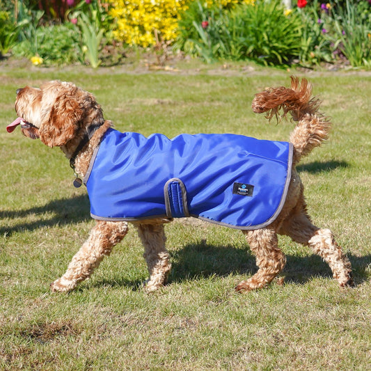 Lightweight Dog Raincoat