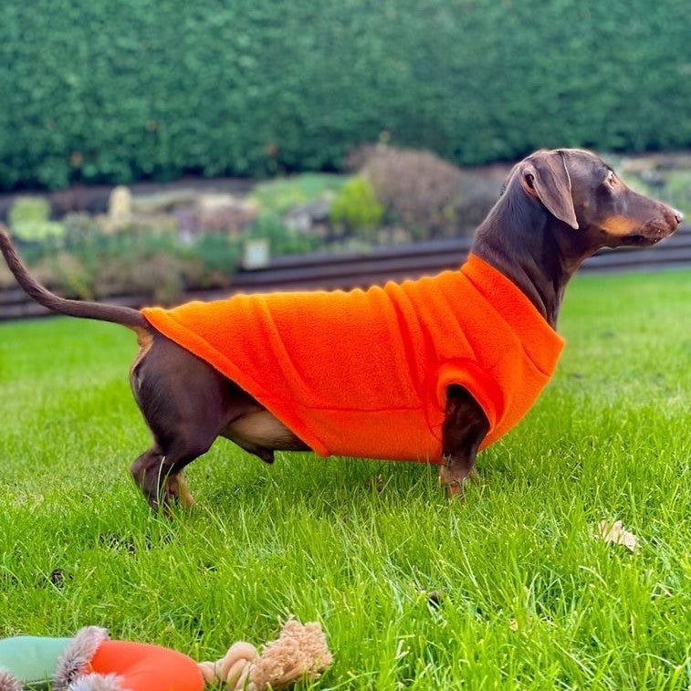 Dachshund fleece sale jacket