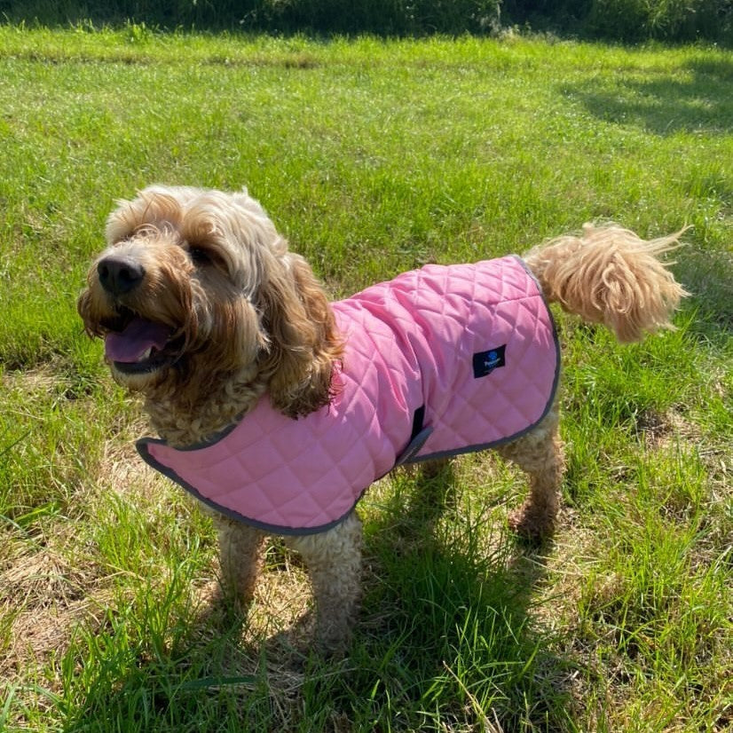 Pink store dog raincoat