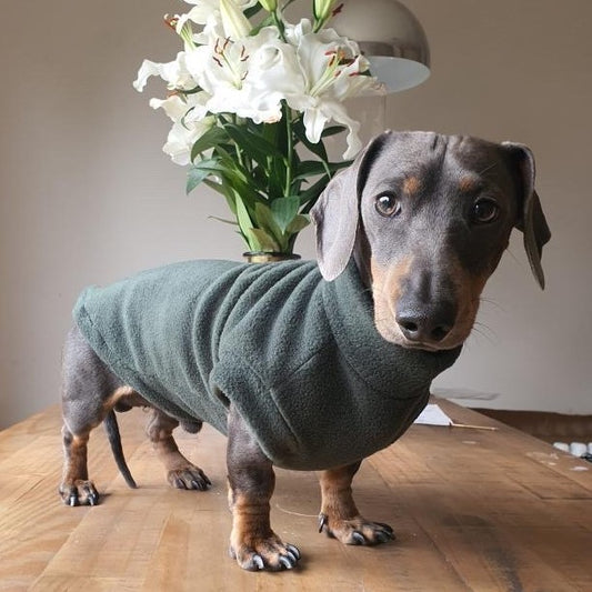 Dachshund Fleece