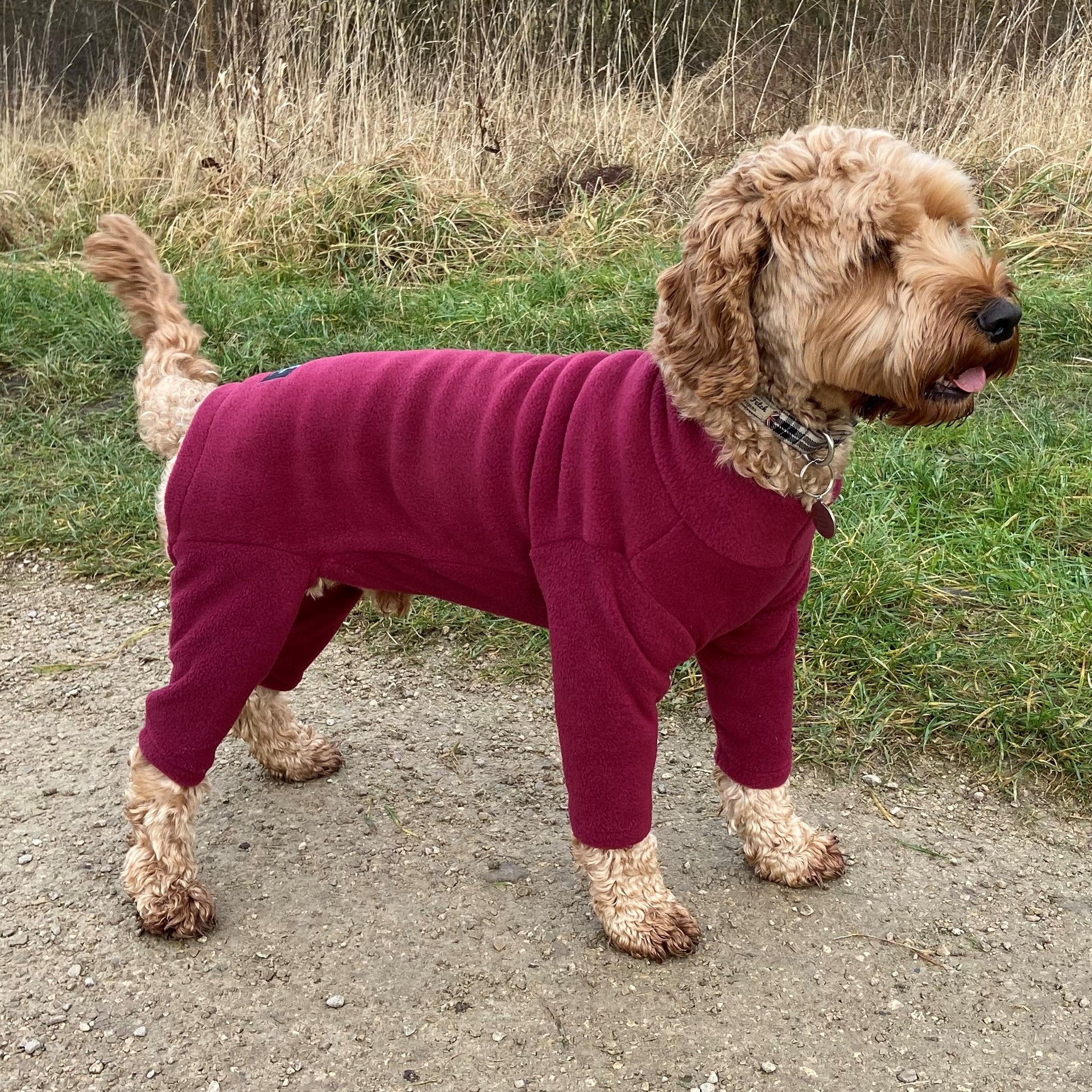 Waterproof Dog Suit Fleece Coat For Dogs Weatherproof Bodysuit K9