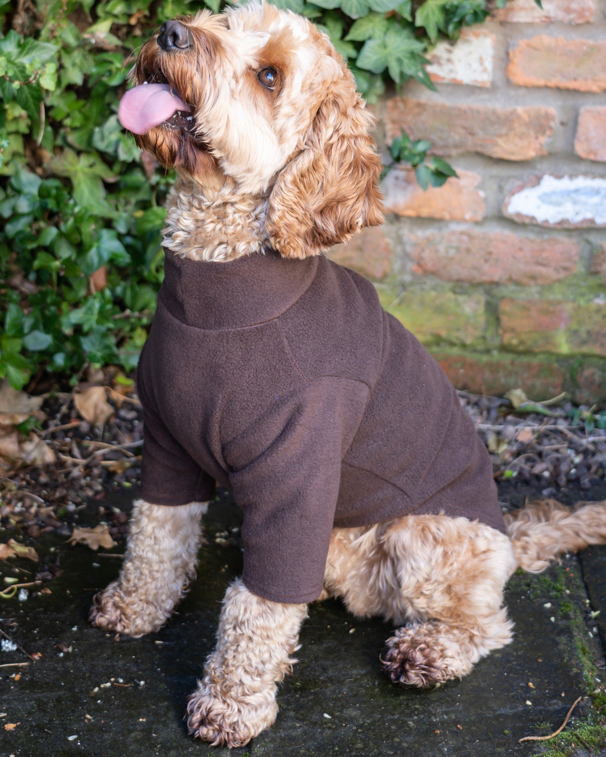 2 Leg Fleece Dog Suit Pawsome Suits
