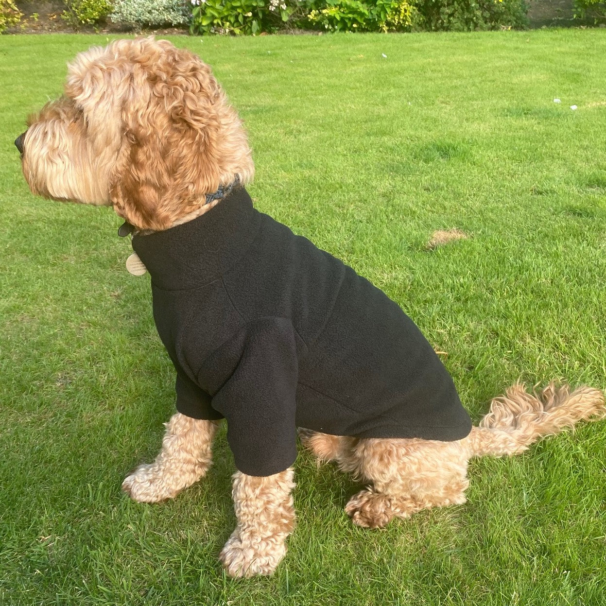 Equafleece dog clearance jumper