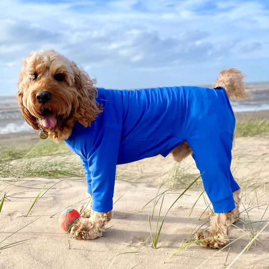 Dog Fleeces & Coats – Pawsome Suits
