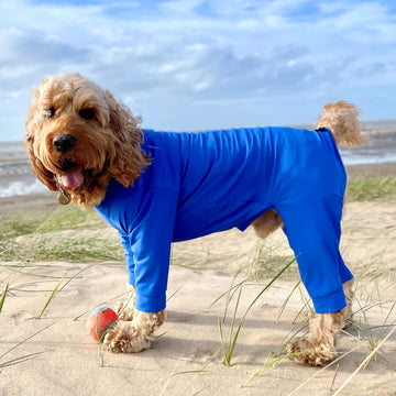 Pawsome Suits, Dog Coats, Jumpers & Fleeces