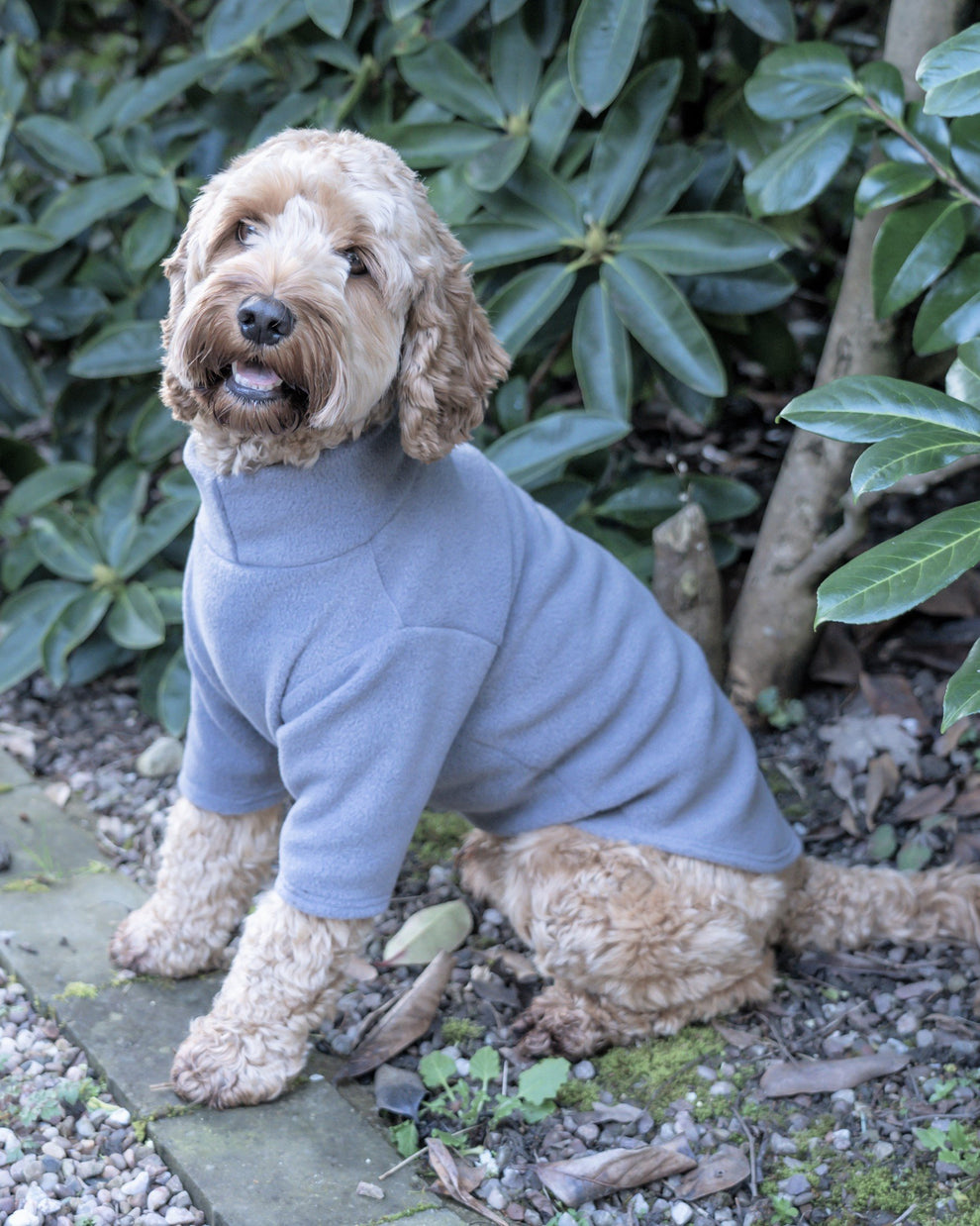 2 Leg Fleece Dog Suit Pawsome Suits